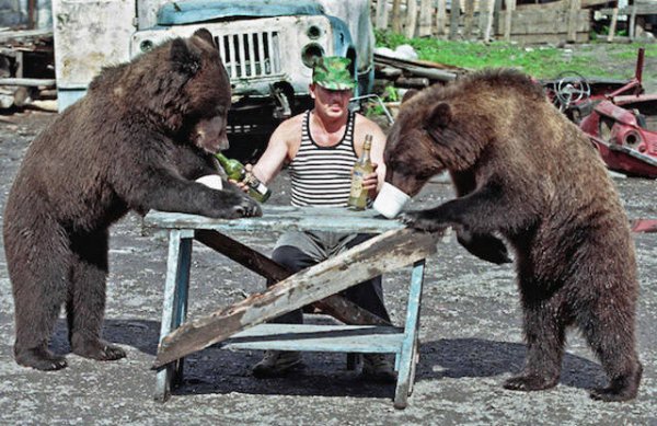 russia russians and bears - Tiin