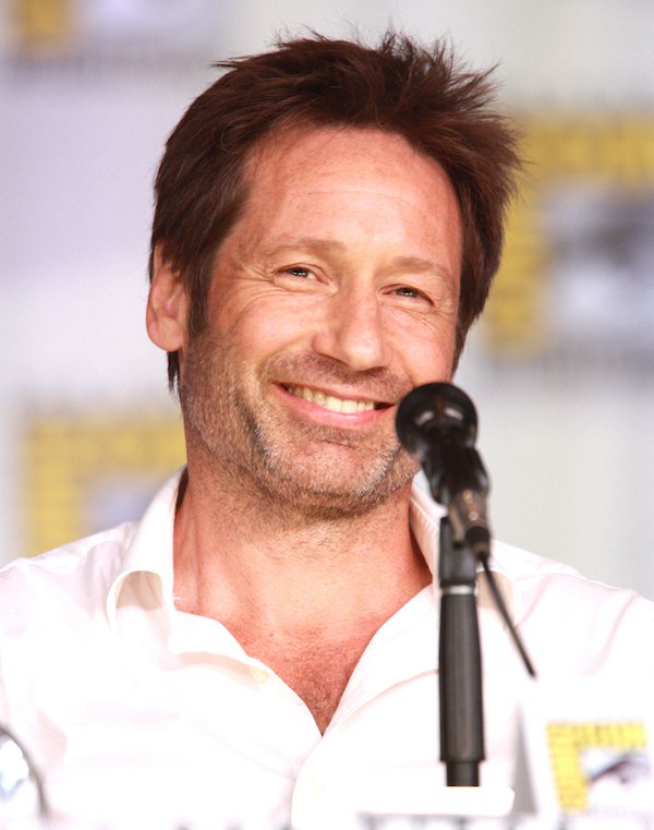 David Duchovny has been stellar on X-Files and Californication, but that was after he was in a soft-core porn series titled The Red Shoe Diaries.