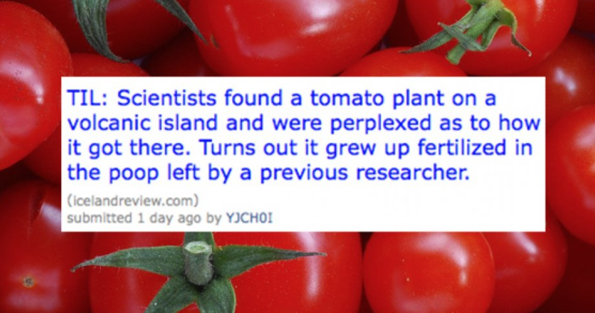 14 Bat-Sh*t Crazy Facts That Will Boggle Your Mind