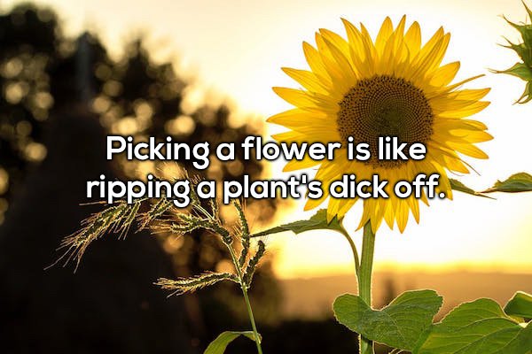 20 Shower thoughts are a total mind f***