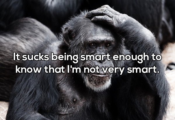 20 Shower thoughts are a total mind f***