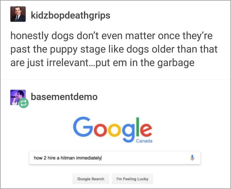 tumblr - kidz bop death grips - kidzbopdeathgrips honestly dogs don't even matter once they're past the puppy stage dogs older than that are just irrelevant... put em in the garbage basementdemo U Google Canada how 2 hire a hitman immediately Google Searc