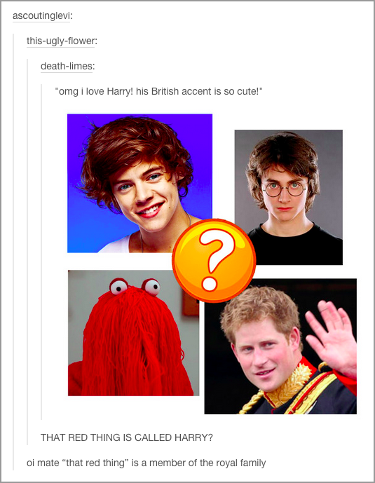 tumblr - harry potter harry styles prince harry - ascoutinglevi thisuglyflower deathlimes "omg i love Harry! his British accent is so cute!" That Red Thing Is Called Harry? oi mate "that red thing" is a member of the royal family