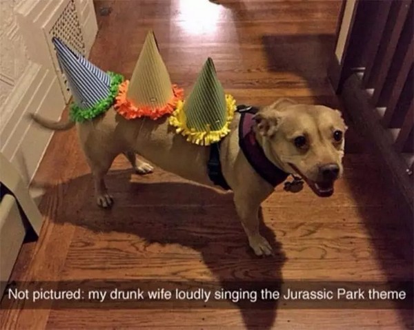 drunk wife jurassic park - Not pictured my drunk wife loudly singing the Jurassic Park theme