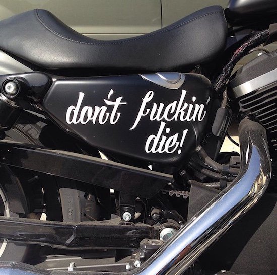 motorcycle - don't fuckin dies!