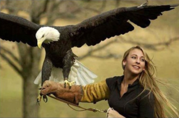 girl with eagle