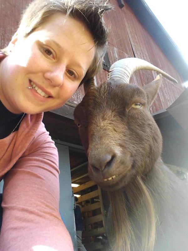 selfie with goat funny