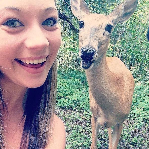 deer selfie