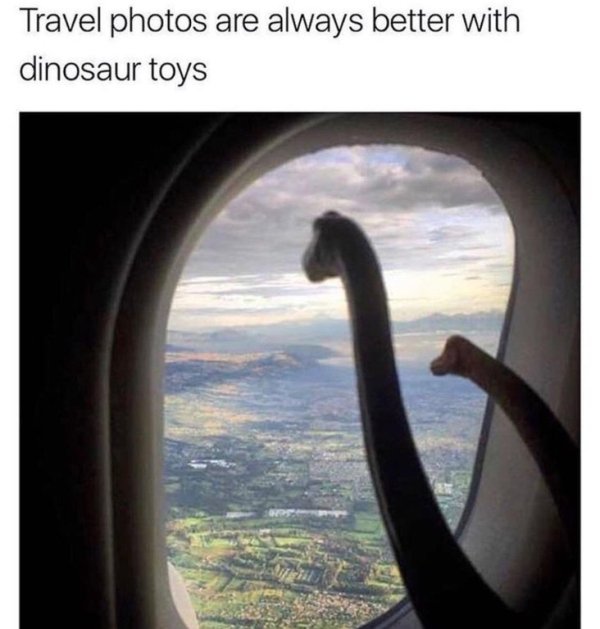 wholesome meme of dinosaur plane window - Travel photos are always better with dinosaur toys