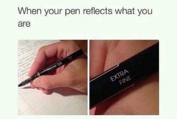wholesome meme of someone is extra meme - When your pen reflects what you are Extra Fine