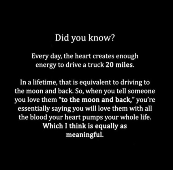 wholesome meme of you love someone memes - Did you know? Every day, the heart creates enough energy to drive a truck 20 miles. In a lifetime, that is equivalent to driving to the moon and back. So, when you tell someone you love them "to the moon and back