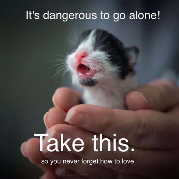 wholesome meme of photo caption - It's dangerous to go alone! Take this. so you never forget how to love