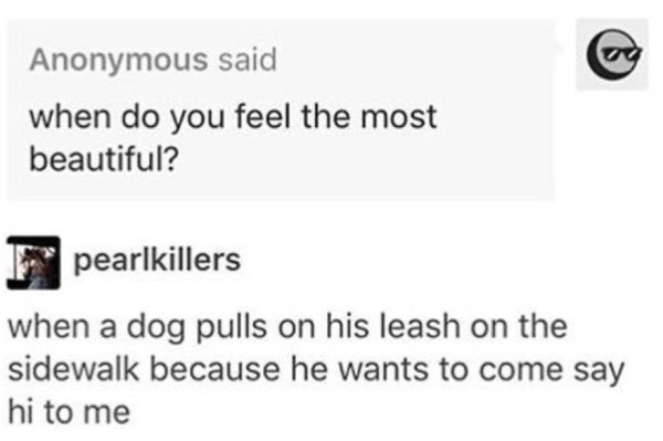 wholesome meme of diagram - Anonymous said when do you feel the most beautiful? F pearlkillers when a dog pulls on his leash on the sidewalk because he wants to come say hi to me