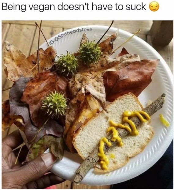 13 Savage Jokes Roasting Vegans to a Leafy Crisp