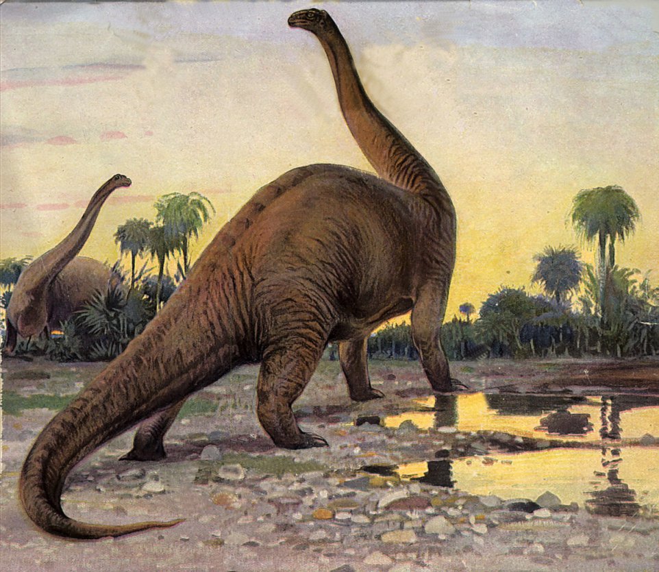 This is a Brontosaurus.
This is not a Brontosaurus, no matter what Jurassic Park leads you to believe. It’s actually called the Apatosaurus, and the myth started about 130 years ago during a feud between two rival paleontologists.