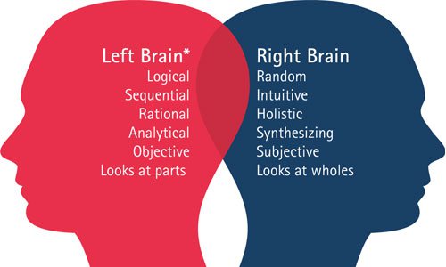 “Left-brained” people are creative, while “right-brained” people are analytical.
This age-old tale is false. Although it’s true that different hemispheres in the brain are more involved in certain tasks (for example, the left side is dominant in language), studies have never concluded there is an overall brain-side dominance in people.