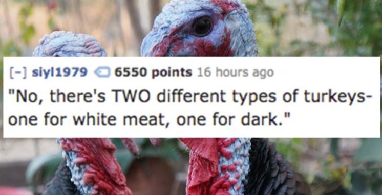 beak - siyl1979 6550 points 16 hours ago "No, there's Two different types of turkeys one for white meat, one for dark."