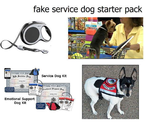 memes - fake service animal meme - fake service dog starter pack Titssere Such 39 Service Dog Service Dog Kit Sta Emotional Support Dog Kit G