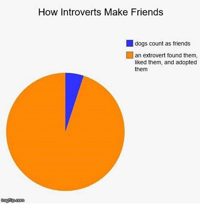 memes - pokemon pie chart memes - How Introverts Make Friends dogs count as friends an extrovert found them, d them, and adopted them imgflip.com