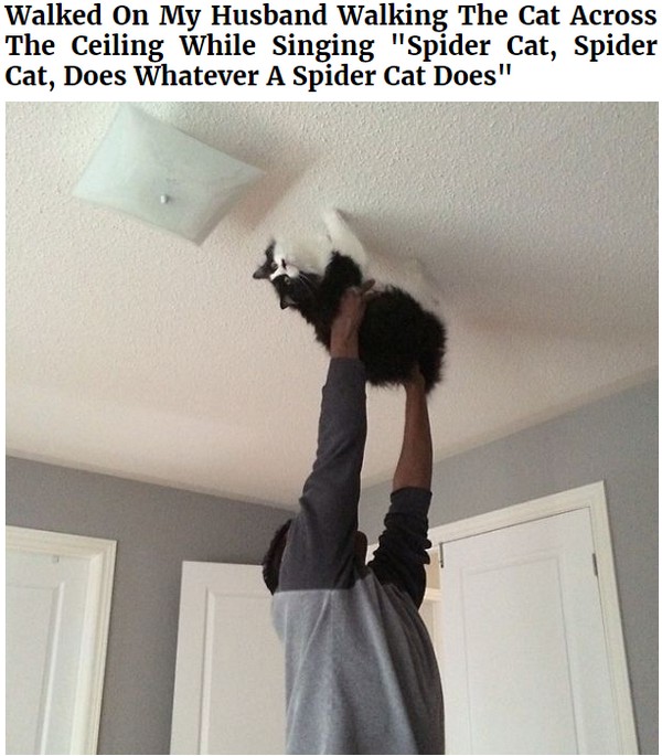 Husband walking cat across the ceiling like a spider