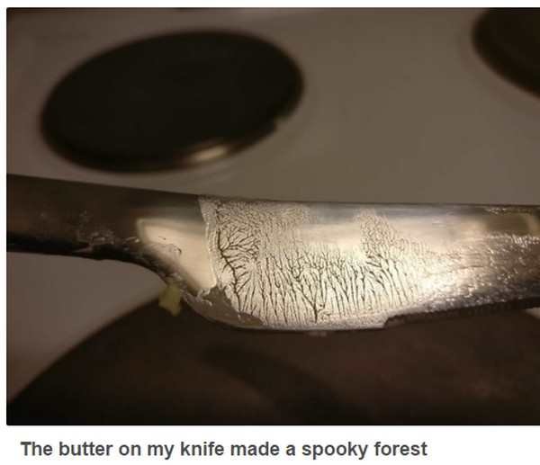 cutlery - The butter on my knife made a spooky forest