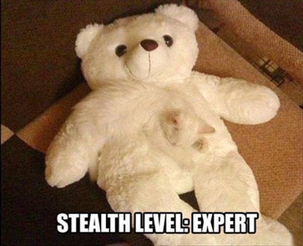 stealth level expert - Stealth Level Expert