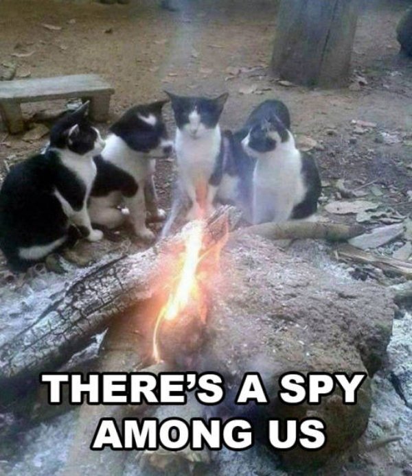 funny spy memes - There'S A Spy Among Us