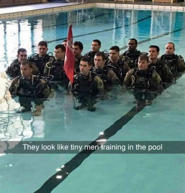 special forces dwarf - They look tiny men training in the pool