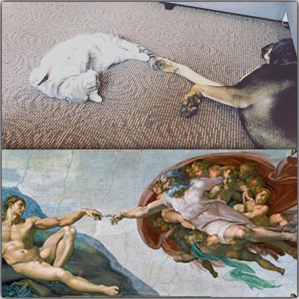 creation of adam