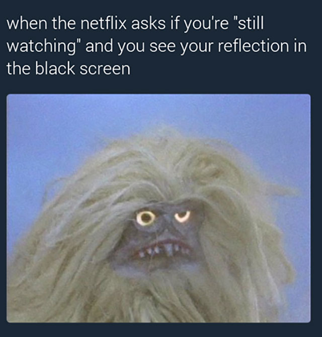 funny relatable instagram memes - when the netflix asks if you're "still watching" and you see your reflection in the black screen