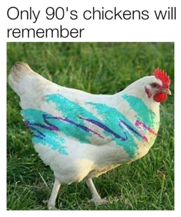 90s chicken - Only 90's chickens will remember