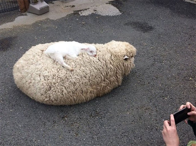 22 Photos To Remind You That Life Is Beautiful