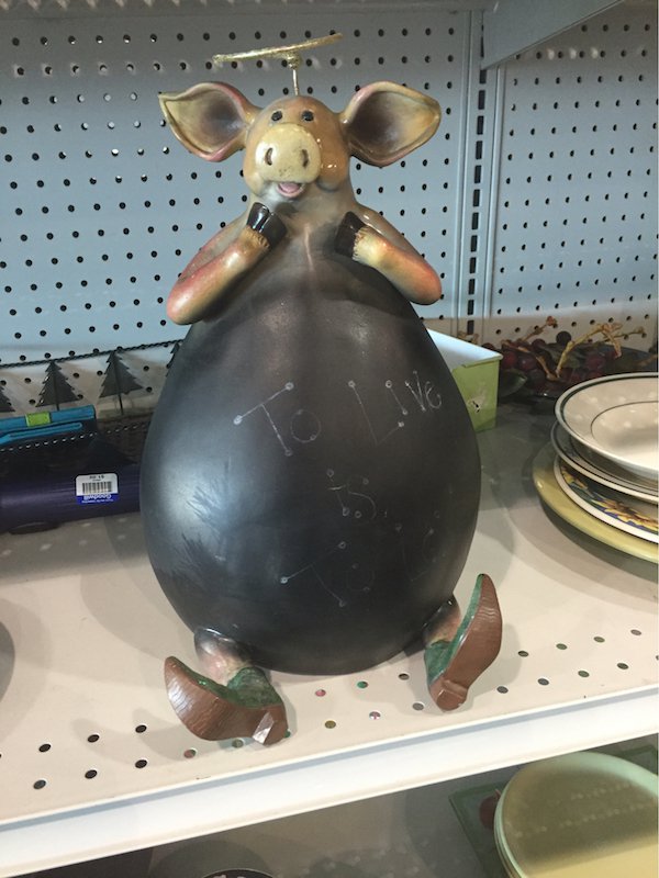 35 Weird, WTF & Funny Thrift Store Finds
