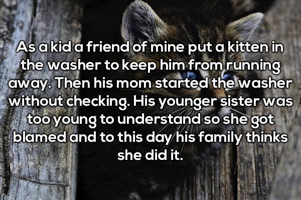 22 People Confess To The Worst Thing They Let A Sibling Take The Fall For
