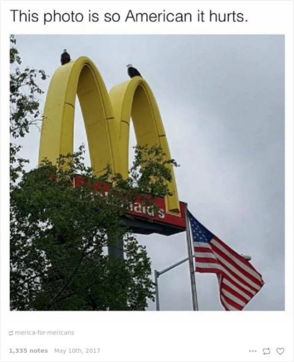 34 'merica memes and images