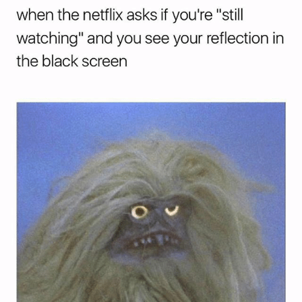 snout - when the netflix asks if you're "still watching" and you see your reflection in the black screen