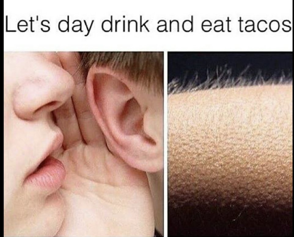 taco meme - Let's day drink and eat tacos