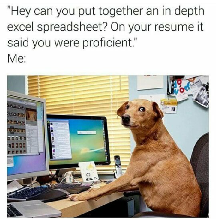 nobody knows you re a dog - "Hey can you put together an in depth excel spreadsheet? On your resume it said you were proficient." Me