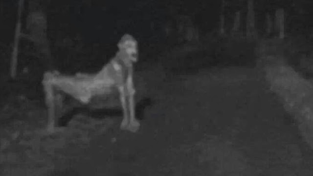 This creepy photo of a Skinwalker went viral in 2014 and left people baffled.
The image was taken by a geologist working in New Mexico. Netizens assumed it was a skinwalker because it shared similar traits to the shapeshifting creature from Native American folklore. Eventually, people assumed it was a prop from the 80s Sci-Fi film "Xtro."But is it really?