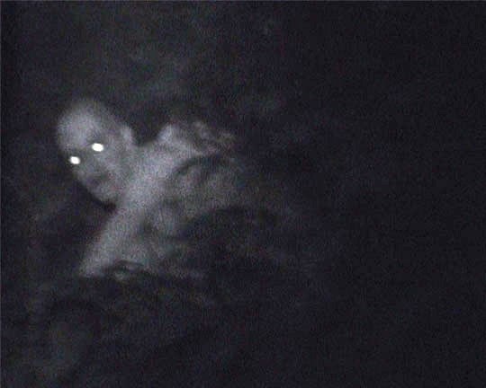 The Fallen Angel Of Catalonia reared its ugly head on June 2016.
Two guys were exploring the Campdevanol Forest in Catalonia, Spain when they spotted this creature with glowing eyes. Some conspiracy theorists claimed there was a video circulated online that proved these guys set everything up, but others aren't quite so sure.
