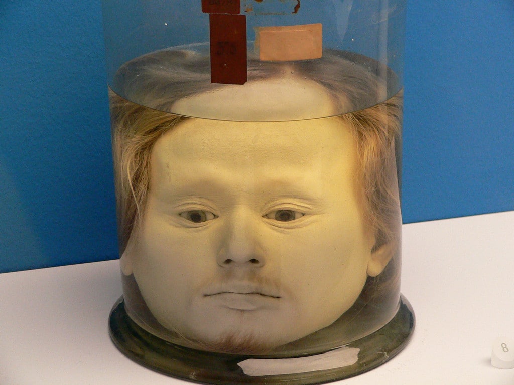 Perfectly preserved head of a serial killer, since 1841. Diogo Alves was born in Galicia in 1810 and traveled to Lisbon early in his life, to serve in the houses of the well-to-do of the Portuguese capital. This southwards migration was common to plenty of Galicians looking for work, but Alves soon realized a life of crime would be more profitable. (History often blames an opportunistic barmaid for this shift in morality, because what’s a story without a temptress?) From 1836 to 1839, he transferred his workplace to the Aqueduto das Águas Livres (Aqueduct of the Free Waters). Nearly one kilometer (0.62 miles) long, the Aqueduto spanned the Alcântara valley, allowing both water and suburbanites to make their way into the city, 213 feet above the rural landscape.
Many of these commuters were humble farmers traveling to the city to sell their produce, a fact Alves was privy to. He would await them on their return by nightfall, divest them of their gains by whatever means possible, and unceremoniously push them to their deaths. He repeated this sequence 70 times in the three years he was active in the Aqueduto, and it’s unclear why he stopped. Police intervention was hardly a factor, as the deaths were dismissed as a wave of suicides—it’s not like anyone in power would have feared a murderer who targeted only the poor.
Having retired from the Aqueduto, Alves set his sights on flightier targets, formed a gang, and started targeting private residences. Eventually, after breaking into a physician’s house and murdering the people inside, he was caught by the authorities and sentenced to hang in February 1841.