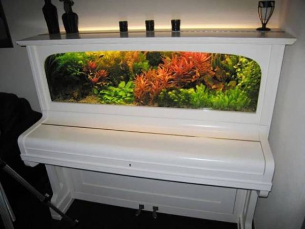 aquarium piano