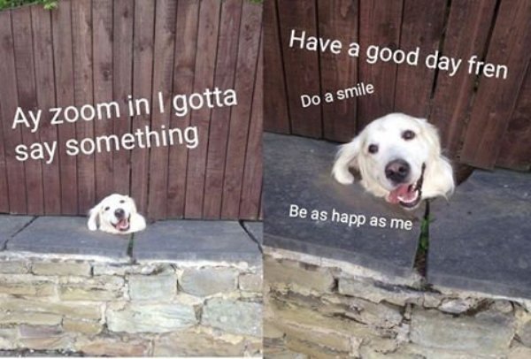 32 Wholesome Memes are so heckin’ happy