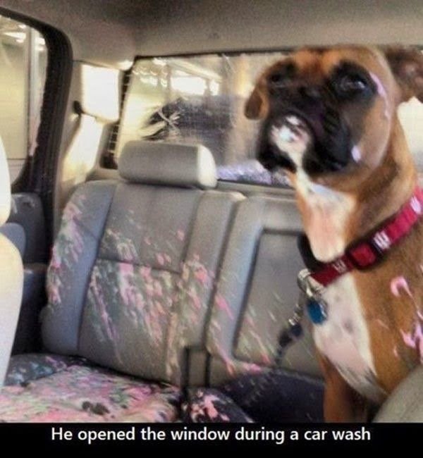 boxer opens window in car wash - He opened the window during a car wash