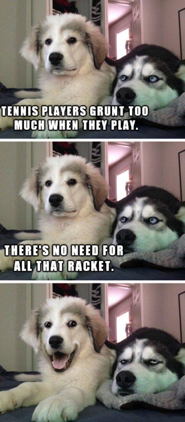 dog pun meme - Tennis Players Grunt Too Much When They Play. There'S No Need For All That Racket.