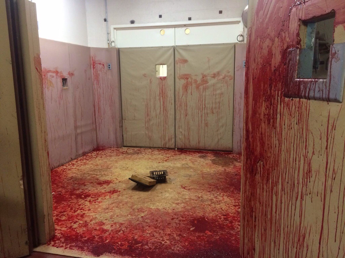 The aftermath of a horse’s nosebleed at the vet’s office