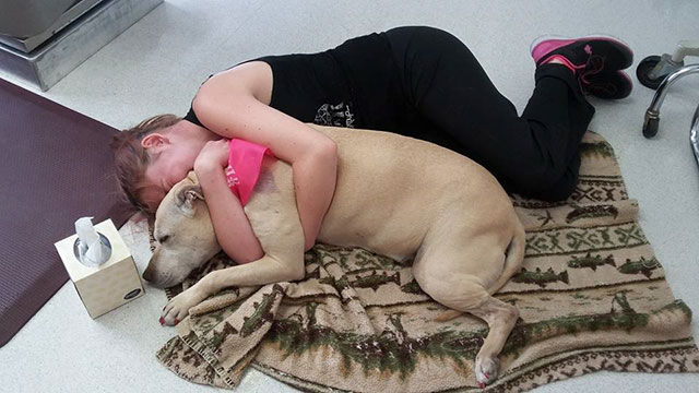 At the vet’s office, Amick lay down next to her dear Hannah for their last picture together. “I don’t think there was a single person there at the vet that didn’t cry with us,” Amick said.
Amick documented her last day with Hannah on Snapchat, posted it on her Facebook page, and shared it with some fellow PetSmart employees. One employee asked to share Amick’s post, and the beautiful photographic tribute to Hannah went viral.Amick received support from so many people who saw Hannah’s story. “Hannah was honestly my best friend. I only did what I knew was best for her in the end,” she stated.
“Hannah’s my baby and I love her and as a friend of mine said, if anything good can come out of this loss, it’s that she is touching so many lives with her story,” Amick wrote on her Facebook page.