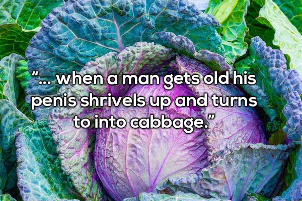 "... when a man gets old his penis shrivels up and turns to into cabbage."