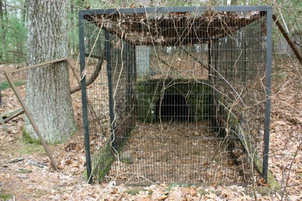 “I was hiking in the mountains in Missoula, Mt. and came across a cage. Not like a trapping cage or anything but something that could easily hold 5-10 average sized people. Took maybe 45 minutes of walking, mostly uphill and without a path, to get to the spot. Round steel bars for the edges and rope instead of chain link for the walls and ceiling. It was all set up just on the far side of the ridgeline I was walking so it couldn’t be seen I suppose.
Nothing around it, no footprints or tire tracks or anything. The rope looked undamaged as well. No idea what it was for but it definitely creeped me the fuck out.”