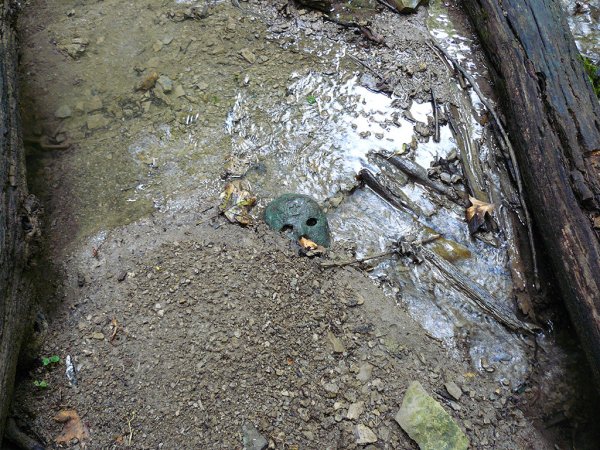 “I was out fossil hunting in a wash after a thunderstorm the night before. I figured it had to uncover a bit of stuff down in the streambed.”